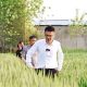 李回